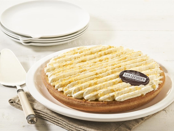 Vlaai yoghurt framboos22 cm.